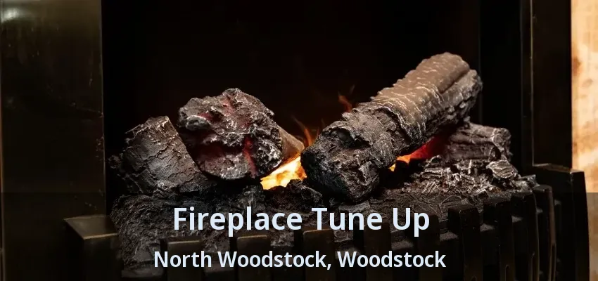 Fireplace Tune Up North Woodstock, Woodstock - ON