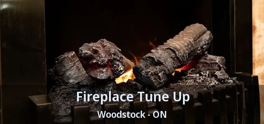 Fireplace Tune Up Woodstock - ON