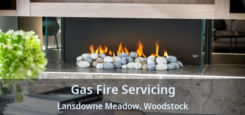 Gas Fire Servicing Lansdowne Meadow, Woodstock - ON