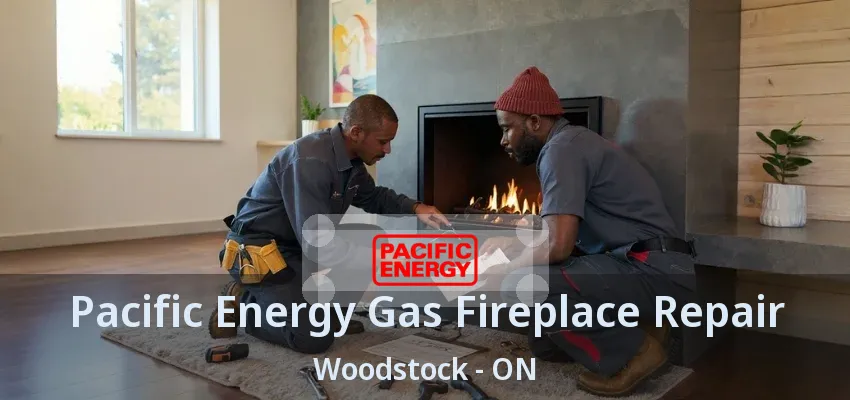 Pacific Energy Gas Fireplace Repair Woodstock - ON Pacific Energy Gas Fireplace Repair Woodstock - ON