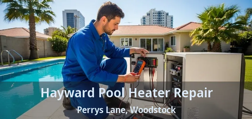 Hayward Pool Heater Repair Perrys Lane, Woodstock - ON
