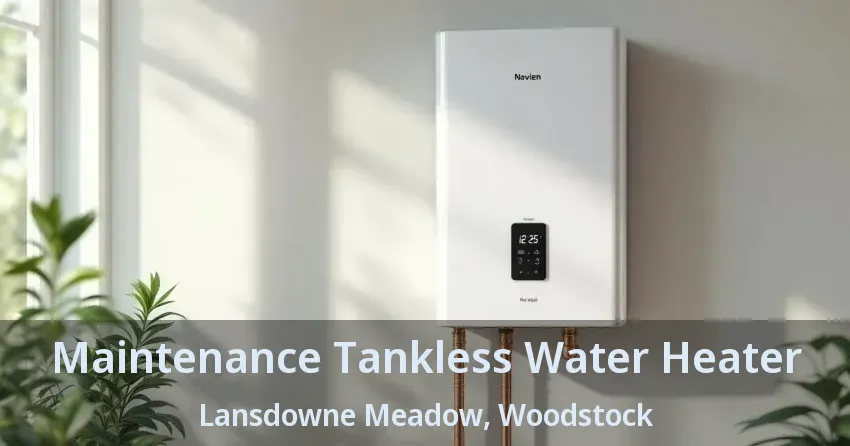 Maintenance Tankless Water Heater Lansdowne Meadow, Woodstock - ON Maintenance Tankless Water Heater Lansdowne Meadow, Woodstock - ON