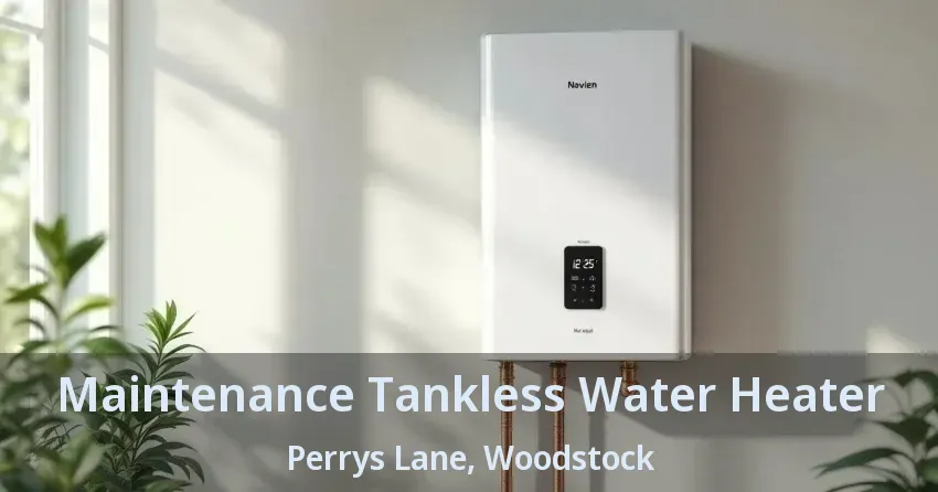 Maintenance Tankless Water Heater Perrys Lane, Woodstock - ON