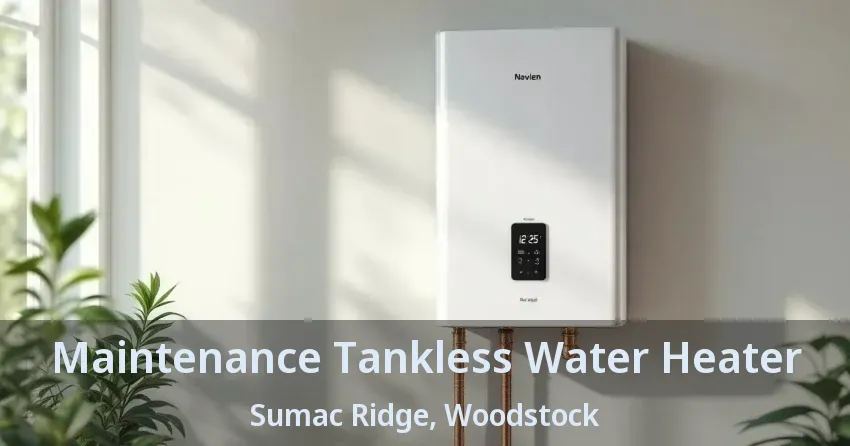 Maintenance Tankless Water Heater Sumac Ridge, Woodstock - ON Maintenance Tankless Water Heater Sumac Ridge, Woodstock - ON