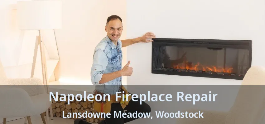 Napoleon Fireplace Repair Lansdowne Meadow, Woodstock - ON