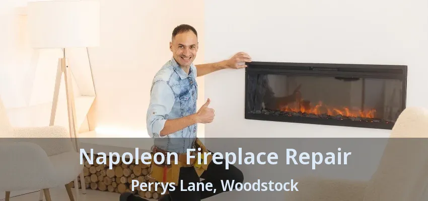 Napoleon Fireplace Repair Perrys Lane, Woodstock - ON Napoleon Fireplace Repair Perrys Lane, Woodstock - ON