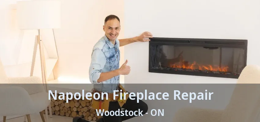 Napoleon Fireplace Repair Woodstock - ON