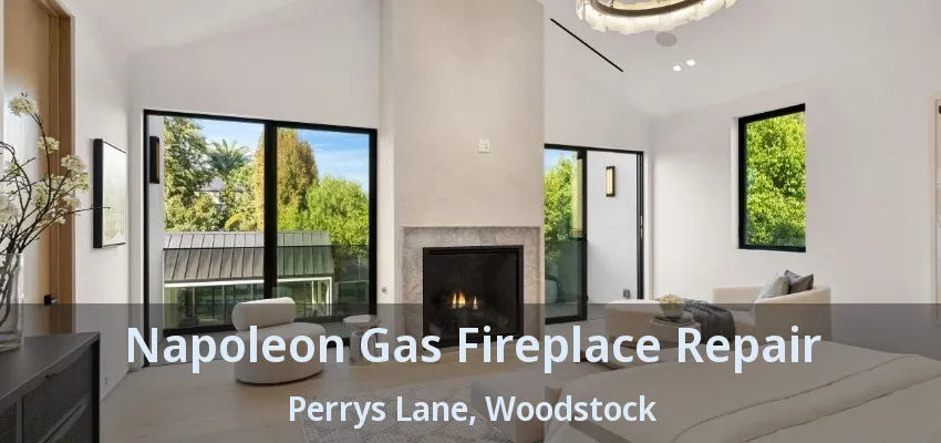 Napoleon Gas Fireplace Repair Perrys Lane, Woodstock - ON Napoleon Gas Fireplace Repair Perrys Lane, Woodstock - ON