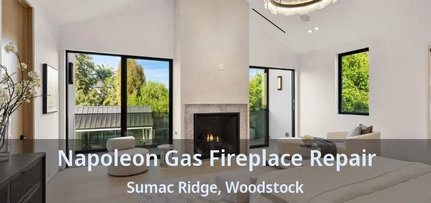 Napoleon Gas Fireplace Repair Sumac Ridge, Woodstock - ON