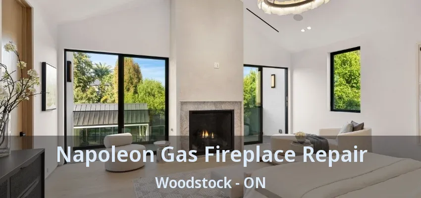 Napoleon Gas Fireplace Repair Woodstock - ON