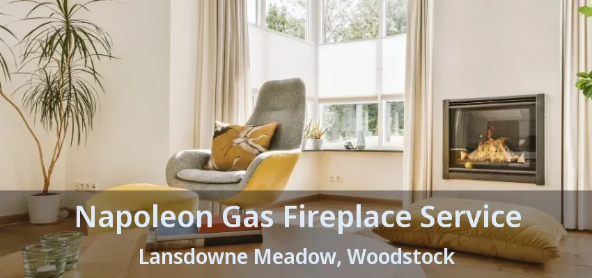 Napoleon Gas Fireplace Service Lansdowne Meadow, Woodstock - ON Napoleon Gas Fireplace Service Lansdowne Meadow, Woodstock - ON
