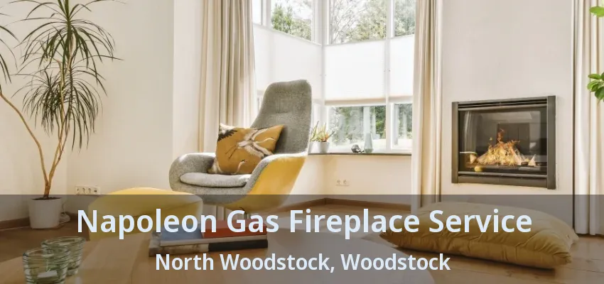 Napoleon Gas Fireplace Service North Woodstock, Woodstock - ON