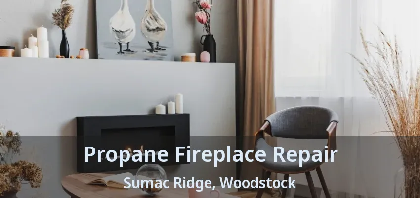Propane Fireplace Repair Sumac Ridge, Woodstock - ON
