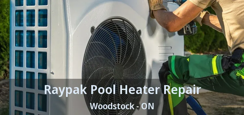 Raypak Pool Heater Repair Woodstock - ON