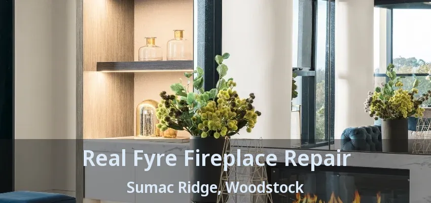 Real Fyre Fireplace Repair Sumac Ridge, Woodstock - ON
