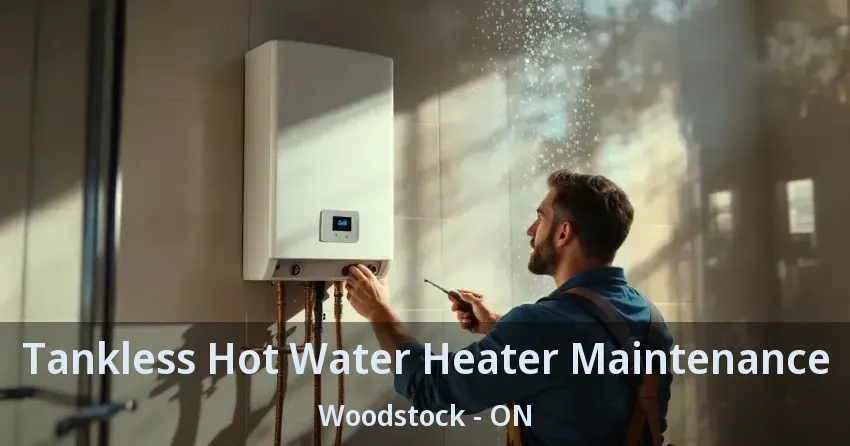 Tankless Hot Water Heater Maintenance Woodstock - ON