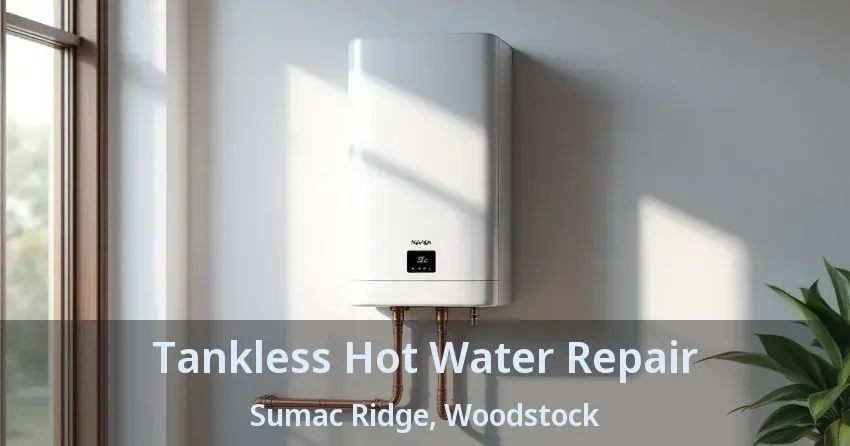 Tankless Hot Water Repair Sumac Ridge, Woodstock - ON Tankless Hot Water Repair Sumac Ridge, Woodstock - ON