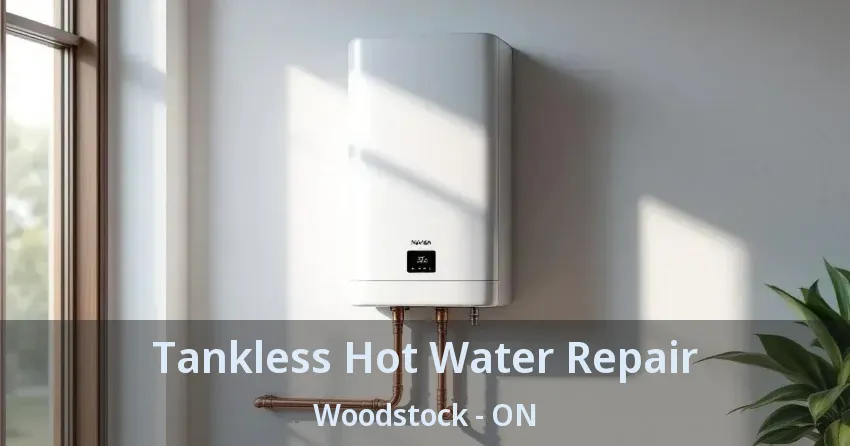 Tankless Hot Water Repair Woodstock - ON