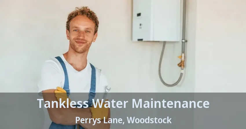 Tankless Water Maintenance Perrys Lane, Woodstock - ON Tankless Water Maintenance Perrys Lane, Woodstock - ON