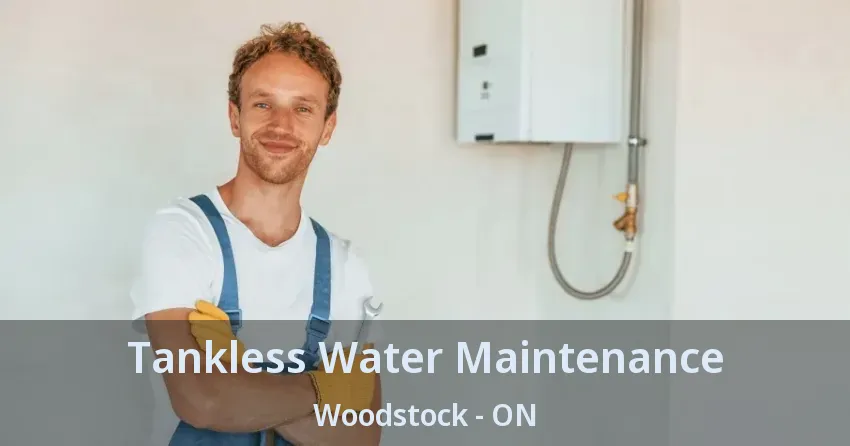 Tankless Water Maintenance Woodstock - ON